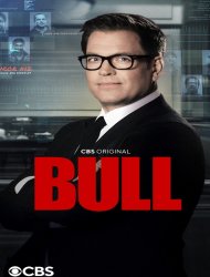 Bull streaming VF