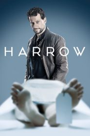 Dr Harrow streaming VF