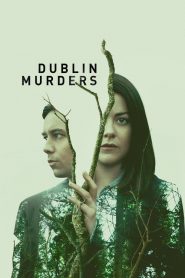 Dublin Murders streaming VF