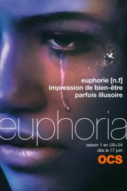 Euphoria (2019) streaming VF