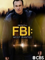 FBI: Most Wanted streaming VF