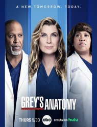 Grey’s Anatomy streaming VF