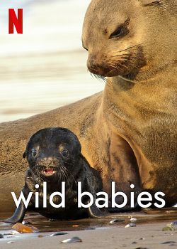 Wild Babies : Petits et Sauvages streaming VF