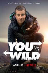 You vs. Wild streaming VF